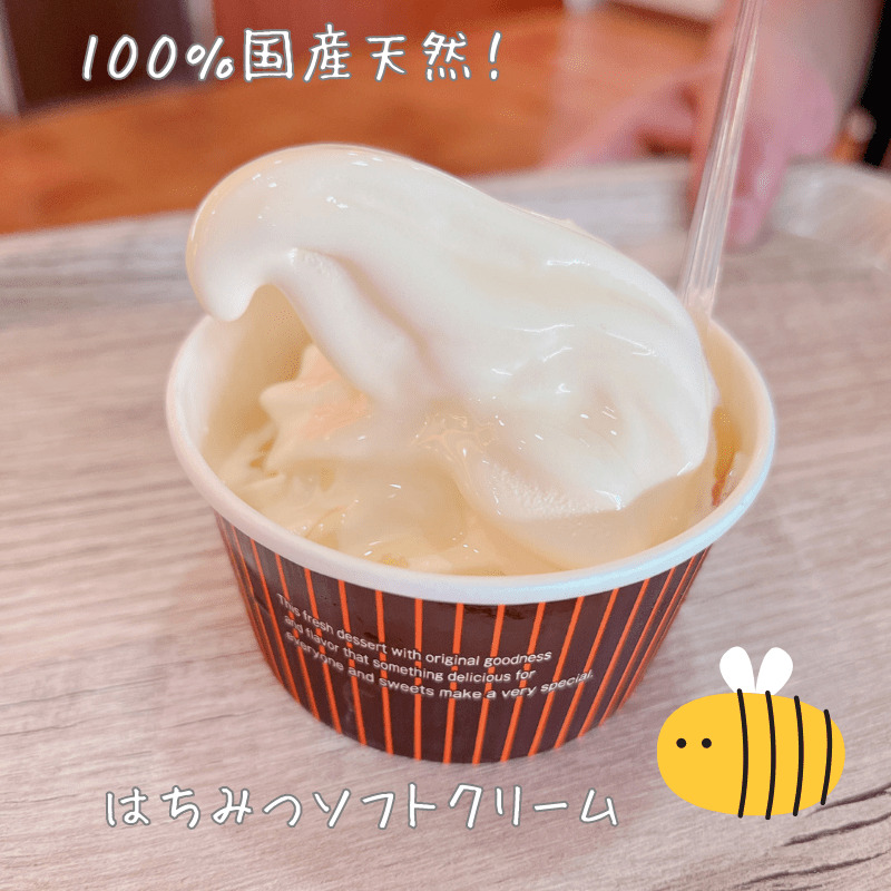 名古屋港水族館トータスの100％国産天然はちみつソフトクリーム
